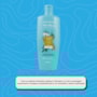 Alfaparf Alta Moda Super Oils Shampoo 300ml Alfaparf Alta Moda Super Oils Shampoo 300ml