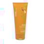 Alfaparf Semi Di Lino Sunshine Kit Home Care (4 Produtos) Alfaparf Semi Di Lino Sunshine Kit Home Care (4 Produtos)