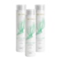 Aneethun Antiqueda Kit 3 Shampoo Estimulante 300ml Aneethun Antiqueda Kit 3 Shampoo Estimulante 300ml