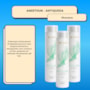 Aneethun Antiqueda Kit 3 Shampoo Estimulante 300ml