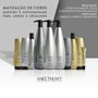 Aneethun Blond Shampoo Matizador 300ml + Máscara Matizadora 250g