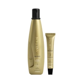 Aneethun Blond Shampoo Silver 300ml + Dose Iluminadora 30g Aneethun Blond Shampoo Silver 300ml + Dose Iluminadora 30g