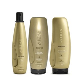 Aneethun Blond Shampoo Silver 300ml + Máscara 250g + Finalizador 250g