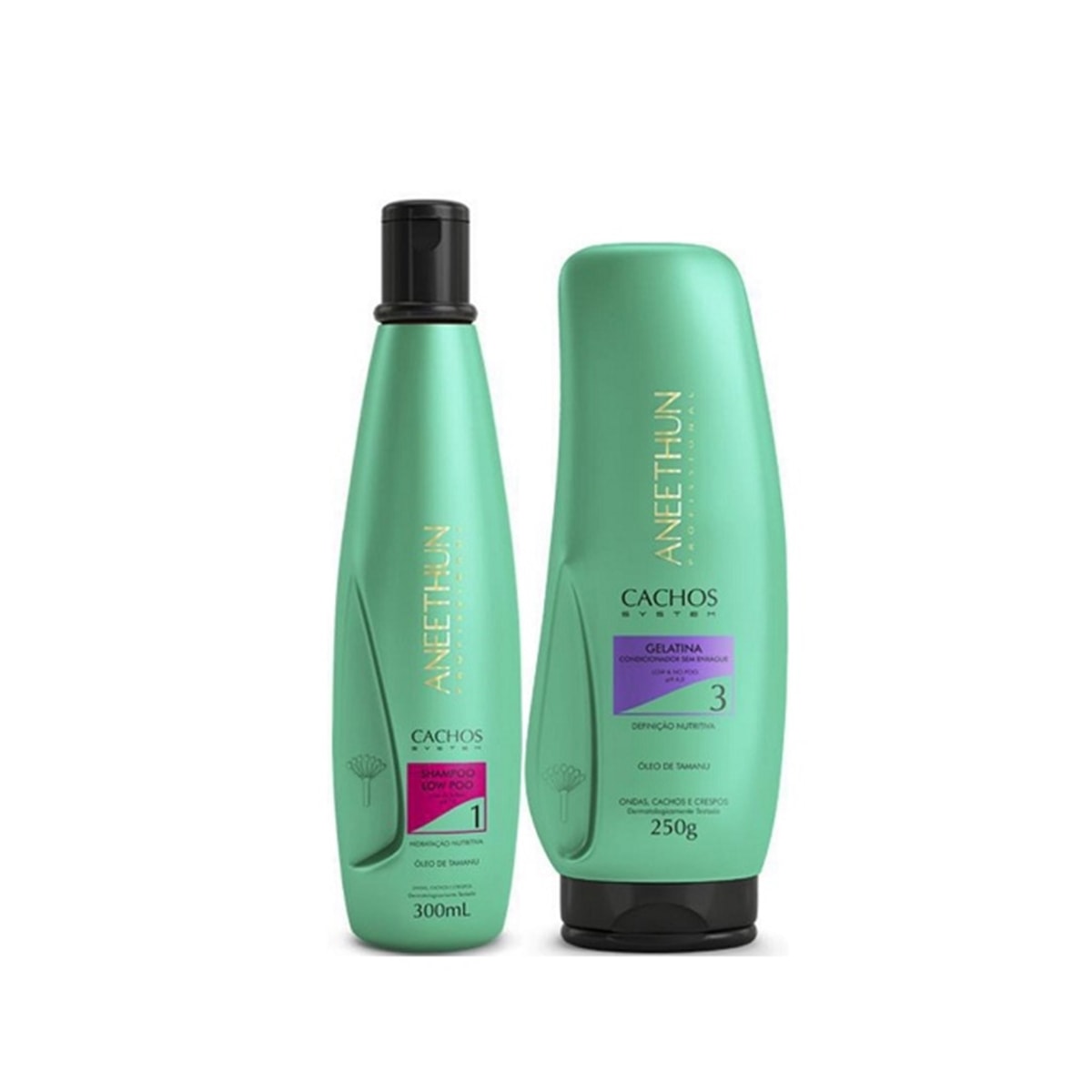 Aneethun Cachos Shampoo 300ml + Gelatina 250g