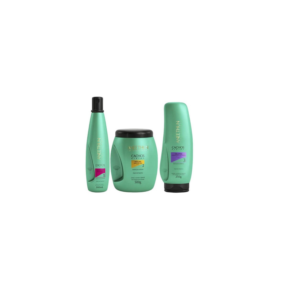 Aneethun Cachos Shampoo 300ml + Máscara 500g + Gelatina 250g Aneethun Cachos Shampoo 300ml + Máscara 500g + Gelatina 250g