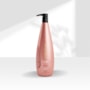 Aneethun Care Shampoo Revitalizante 1000ml