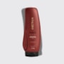 Aneethun Force Finalizador Fortalecedor 250g