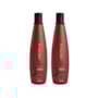 Aneethun Force Kit 2 Shampoo Fortalecedor 300ml