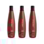 Aneethun Force Kit 3 Shampoo Fortalecedor 300ml
