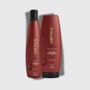Aneethun Force Shampoo 300ml + Máscara 250g