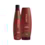 Aneethun Force Shampoo 300ml + Máscara 250g Aneethun Force Shampoo 300ml + Máscara 250g