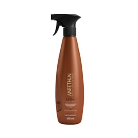 Aneethun Kera Reestruturador Instantâneo 500ml Aneethun Kera Reestruturador Instantâneo 500ml