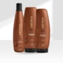 Aneethun Kera Shampoo 300ml + Máscara 250g + Leave in 250g