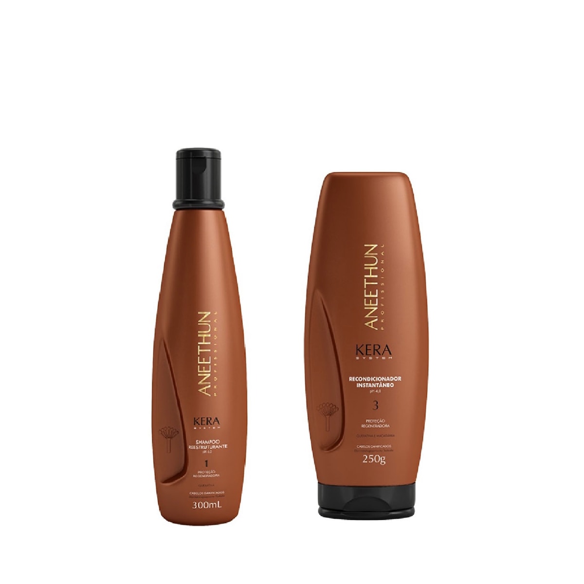 Aneethun Kera Shampoo Reestruturante 300ml + Leave in 250g Aneethun Kera Shampoo Reestruturante 300ml + Leave in 250g