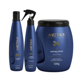 Aneethun Linha A Shampoo 300ml + Máscara 500g + Spray 150ml