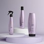 Aneethun Liss Shampoo 300ml + Thermal Antifrizz 150ml