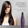 Aneethun No Frizz Shampoo Defrizante 300ml