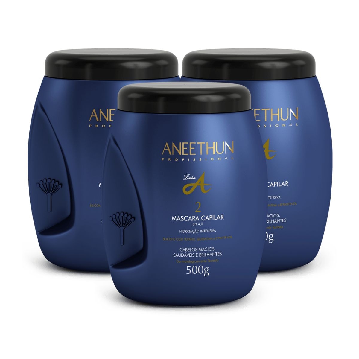Aneethun Profissional Linha A Kit 3 Máscara Capilar 500g Aneethun Profissional Linha A Kit 3 Máscara Capilar 500g