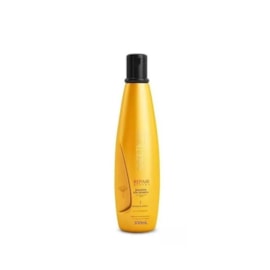 Aneethun Repair Shampoo Pós Química 300ml