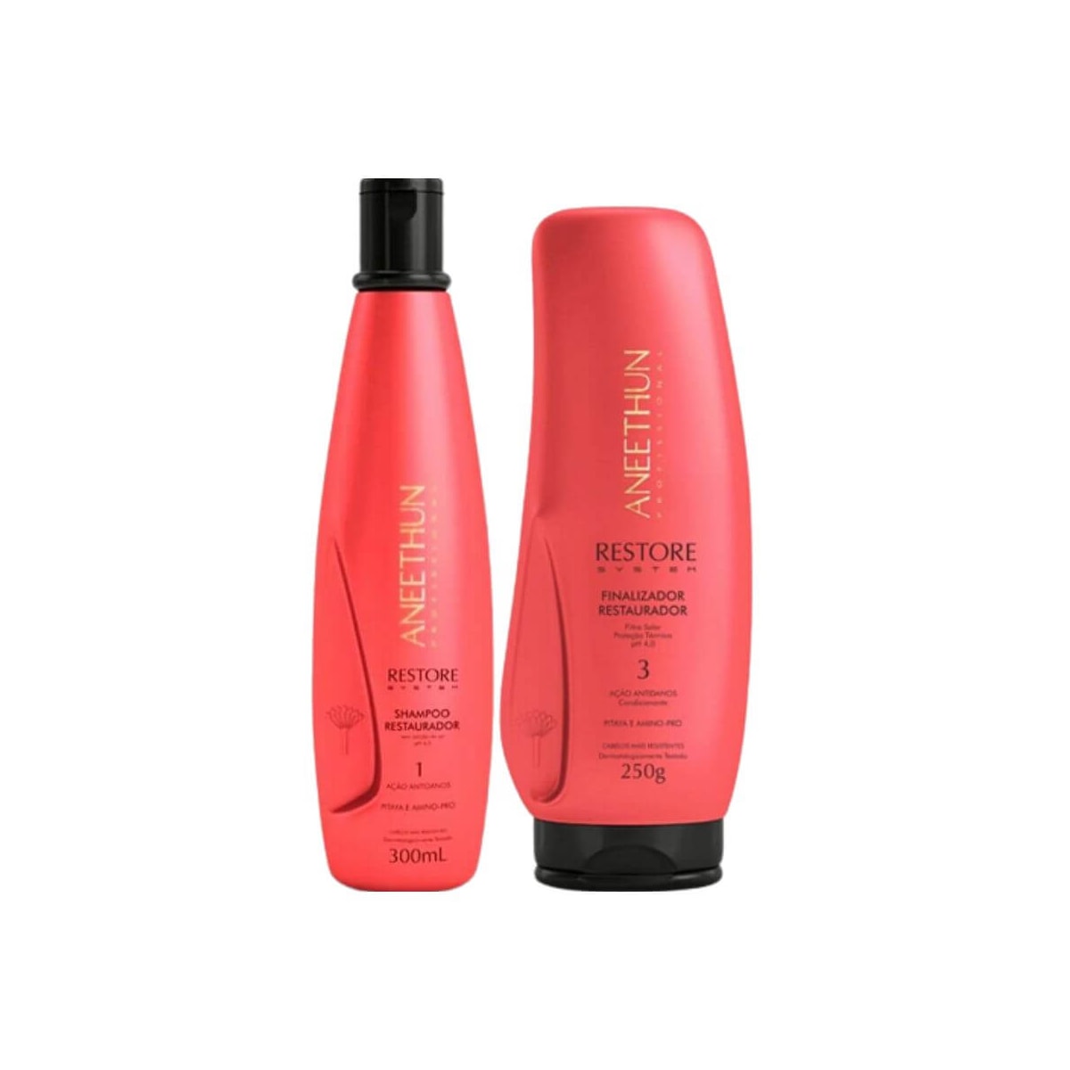 Aneethun Restore Shampoo 300ml + Finalizador 250g Aneethun Restore Shampoo 300ml + Finalizador 250g