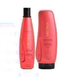 Aneethun Restore Shampoo 300ml + Finalizador 250g Aneethun Restore Shampoo 300ml + Finalizador 250g