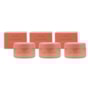 Braé Hair Protein Cream Kit 3 Leave-in 80g