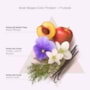 Braé Stages Color Protect Shampoo 250ml