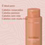 Braé Stages Nutrition Condicionador 250ml