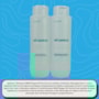 Braé Stages Oil Control Kit Shampoo e Condicionador 250ml
