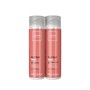 Cadiveu Essentials Bye Bye Frizz Shampoo 250ml + Condicionador 250ml