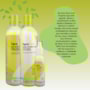 DevaCurl No-Poo Original Kit Reparador (3 Produtos)