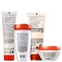Kérastase Nutritive Nectar Intense Kit (Shampoo + Condicionador + Máscara + Leave-in)
