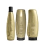 Kit Aneethun Blond Shampoo Silver 300 ml + Máscara 250 g + Finalizador 250 g