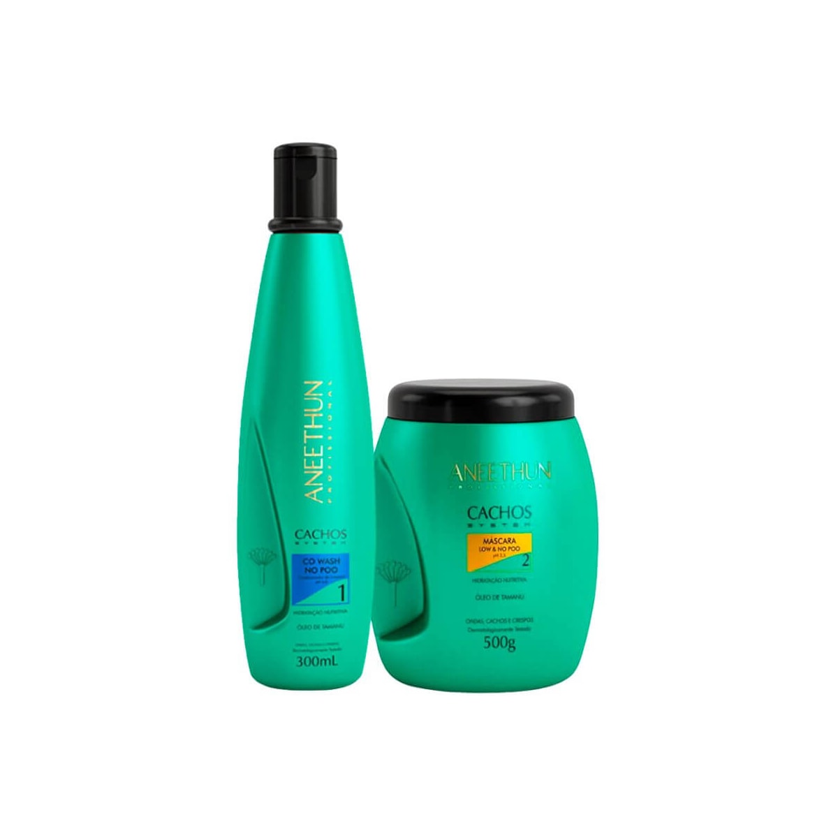 Kit Aneethun Cachos Co Wash 300 ml + Máscara 500 g para Cabelo Cacheado