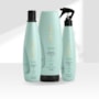 Kit Aneethun Detox Shampoo 300 ml + Loção 150 ml + Bálsamo 250 g