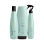 Kit Aneethun Detox Shampoo 300 ml + Loção 150 ml + Bálsamo 250 g