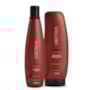 Kit Aneethun Force Shampoo 300 ml + Finalizador 250 g