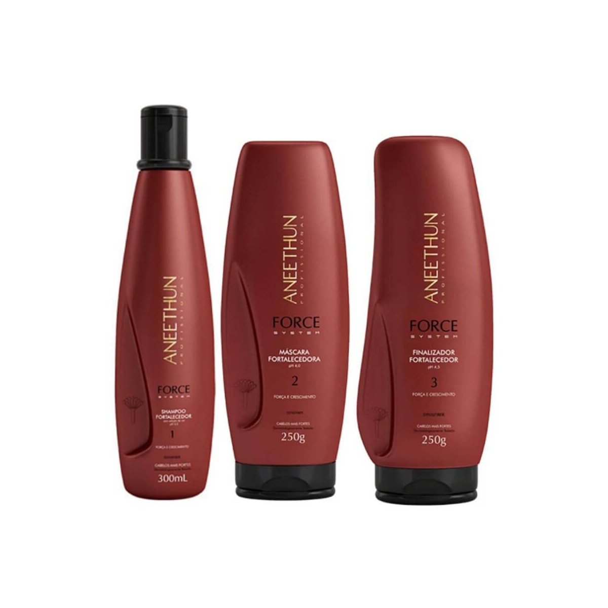 Kit Aneethun Force Shampoo 300 ml + Máscara 250 g + Finalizador 250 g
