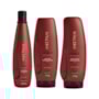 Kit Aneethun Force Shampoo 300 ml + Máscara 250 g + Finalizador 250 g
