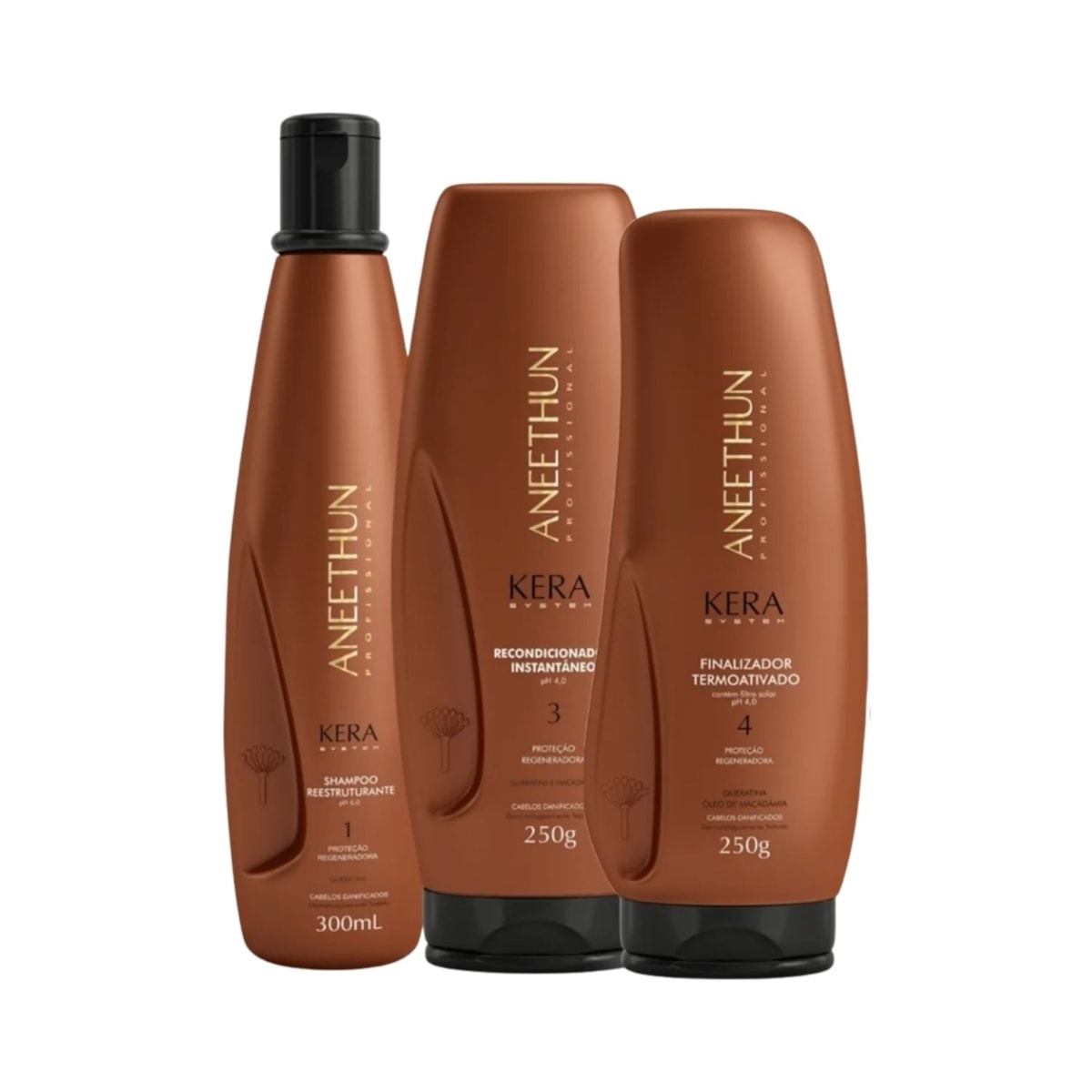 Kit Aneethun Kera Shampoo 300 ml + Máscara 250 g + Leave in 250 g Kit Aneethun Kera Shampoo 300 ml + Máscara 250 g + Leave in 250 g