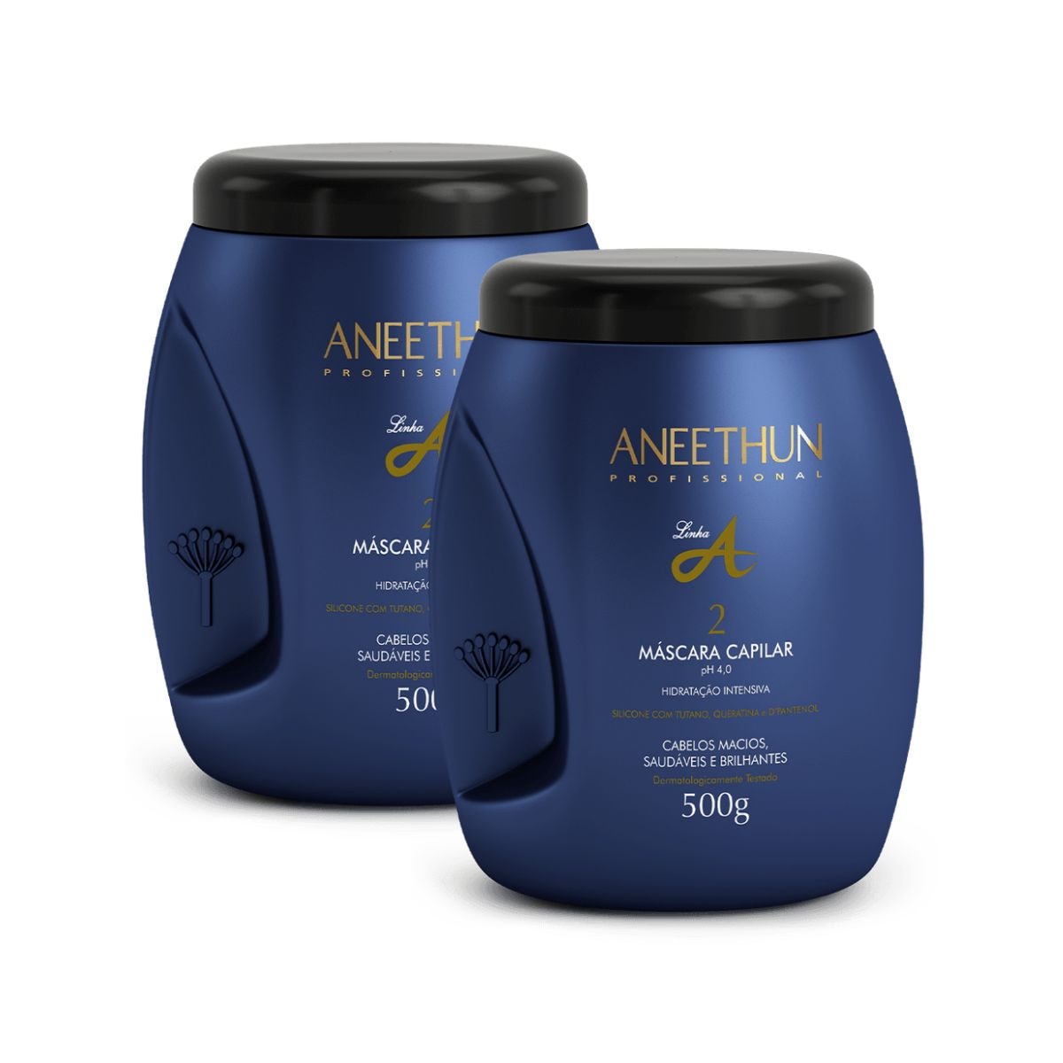 Kit Aneethun Linha A 2 Máscara Capilar 500 g Kit Aneethun Linha A 2 Máscara Capilar 500 g