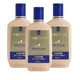 Kit Aneethun Linha A 3 Creme de Silicone 250 ml