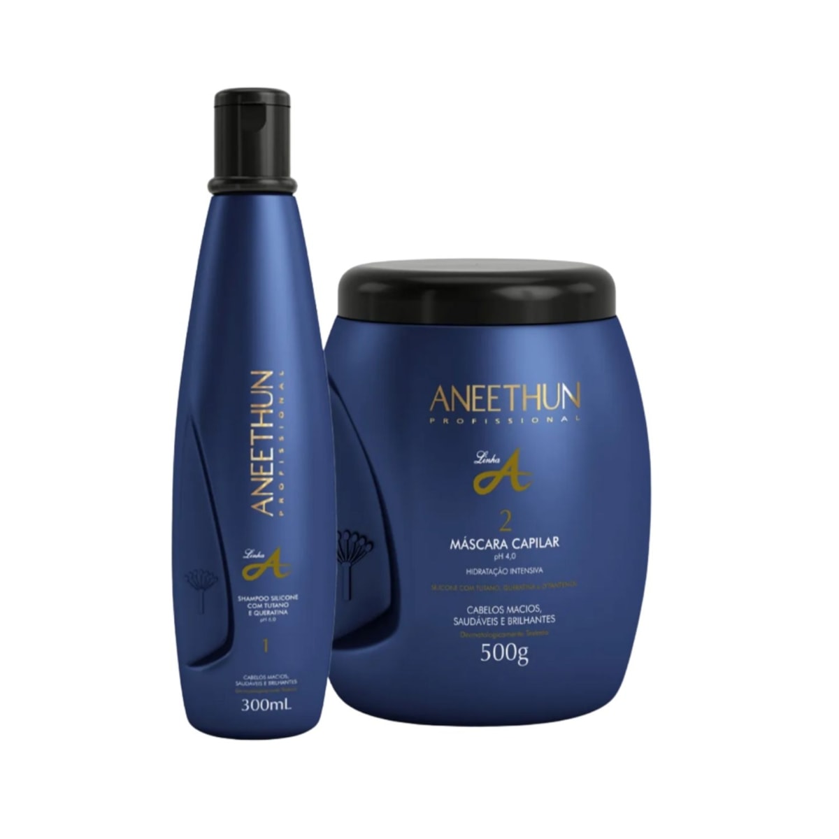 Kit Aneethun Linha A Shampoo 300 ml + Máscara 500 g
