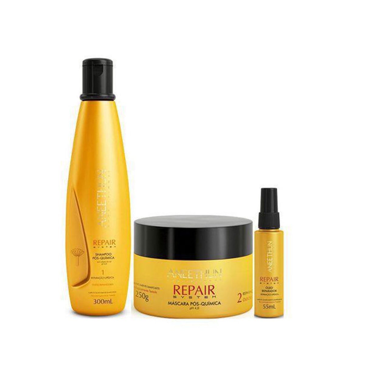 Kit Aneethun Repair Shampoo 300 ml + Máscara 250 g + Oleo Reparador 55 ml Kit Aneethun Repair Shampoo 300 ml + Máscara 250 g + Oleo Reparador 55 ml