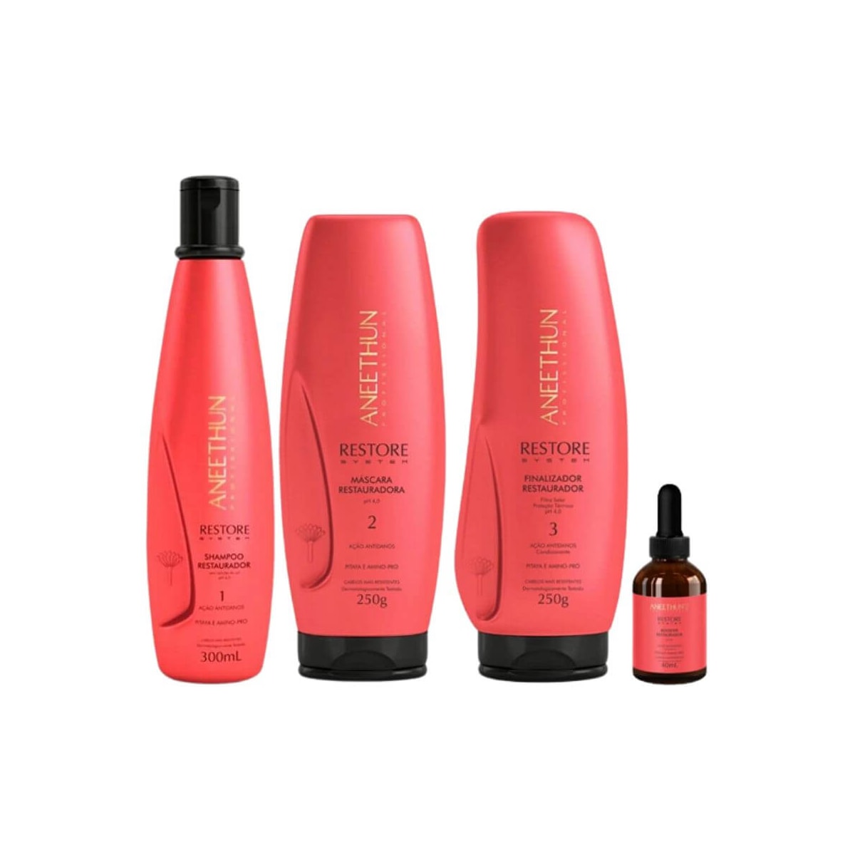 Kit Aneethun Restore Completo