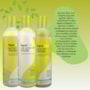 Kit DevaCurl No-Poo Original Home Care (3 Produtos)