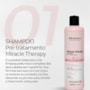 kit Prohall Miracle Therapy Shampoo e Condicionante 500 ml
