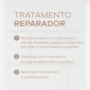 Leave-in Braé Essential Spray Fluido Reparador Capilar 60 ml