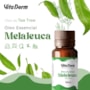 Oleo Essencial Vita Derm de Melaleuca 10 ml