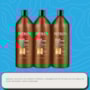 Redken All Soft Mega Curls Kit 3 Shampoo 1L Redken All Soft Mega Curls Kit 3 Shampoo 1L